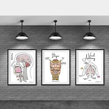 Принты с инструкциями по глотанию, плакаты по анатомии мозга и горла, декоративные плакаты для обучения речи