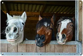 Металлическая Жестяная Вывеска Vintage Happy Horse Stable Портреты Животных Farm Girls Бумага для Дома, Гостиной, Сада, Спальни,