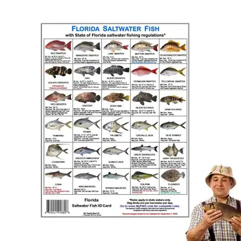 Удостоверение личности рыбака, Путеводитель по видам рыб с магнитами, удостоверение личности морской рыбы Флориды для лодок, причаливающих к пляжу.