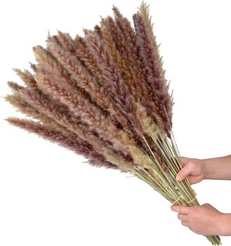 Натуральная трава пампасов, большие ветви сена высотой 60 штук, для цветочных композиций, свадебной кухни, домашнего декора, сухоцветов